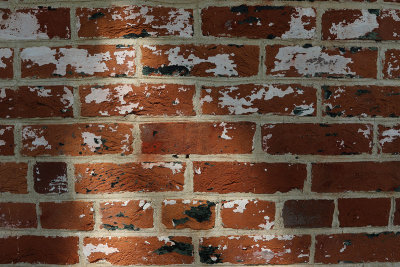 EE5A8939 Augusta KY old brick detail.jpg