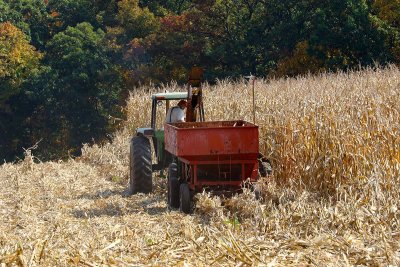 EE5A0032 PA Corn Harvest.jpg