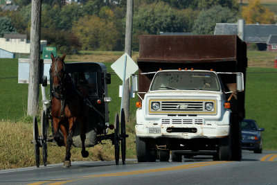 EE5A4953 PA horse and buggy and truck.jpg
