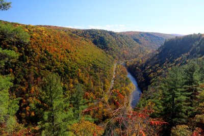EE5A5611 Grand Canyon of PA.jpg