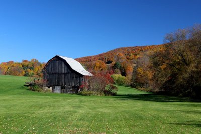 EE5A5794 upstate PA barn and green grass.jpg