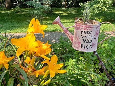 20180714_102605 Free Weeds in Marietta OH.jpg