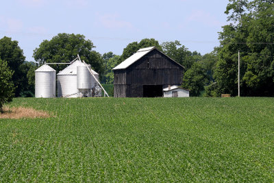 EE5A2034 KY farm.jpg