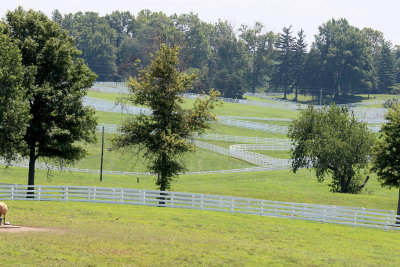 EE5A2122 KY white fences.jpg