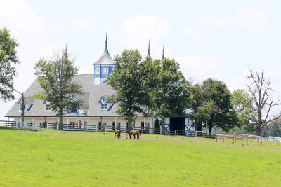 EE5A2130 KY horse farm.jpg