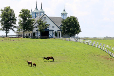 EE5A2141 Nice barn.jpg