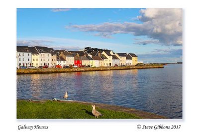 Galway Houses