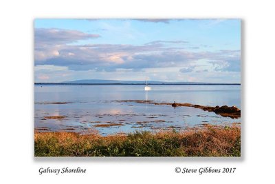 Galway Shoreline