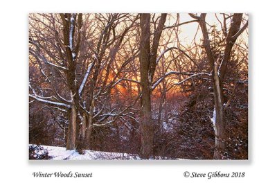 Winter Woods Sunset