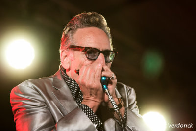 Rick Estrin & the Nightscats