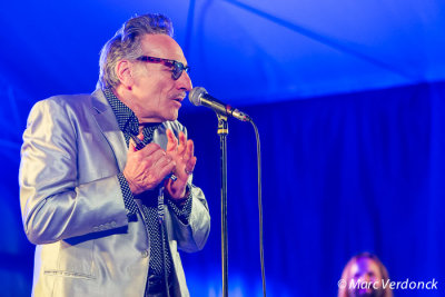 Rick Estrin & the Nightscats