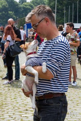 IMG_2916.jpg