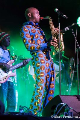 Seun Kuti & Egypt 80 (Nigeria)