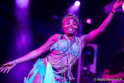 Seun Kuti & Egypt 80 (Nigeria)