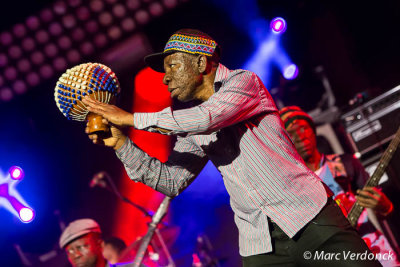 Seun Kuti & Egypt 80 (Nigeria)