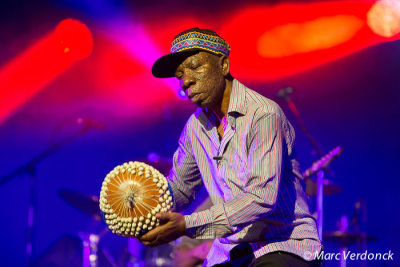 Seun Kuti & Egypt 80 (Nigeria)