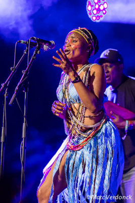 Seun Kuti & Egypt 80 (Nigeria)