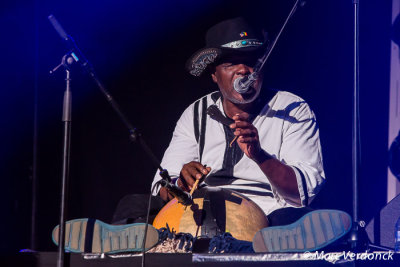 Ali Farka Touré Band (Mali))
