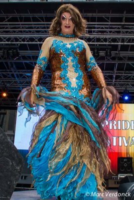IMG_1942.jpg