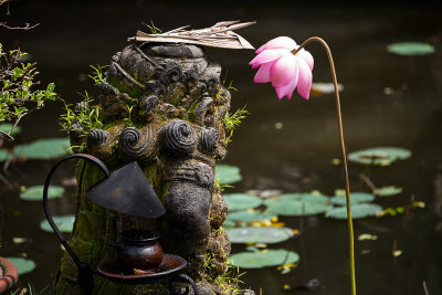 050_20150607_Bali_6430.jpg