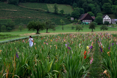 0288_Germany_07_17_1ALB9446.jpg