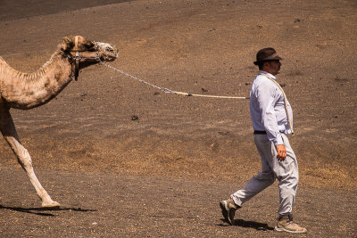 056Lanzarote© Albert Engeln.jpg