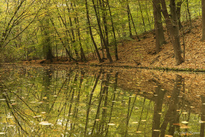 Landgoed Beek Naarden