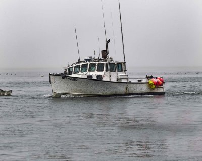 AB9K0808.jpg SeaHound.jpg