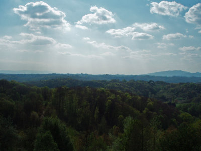P4094613.jpg