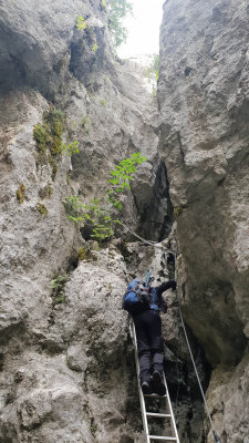 20180922_122425.jpg