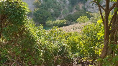 20180923_144144.jpg