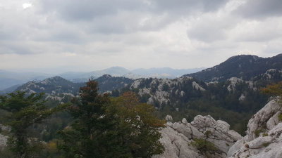 20180922_141554.jpg