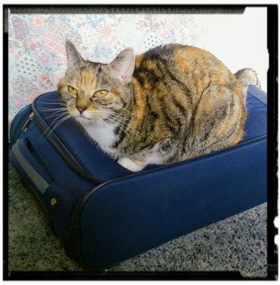 don't go 