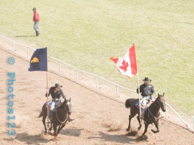 P1030254 edit.jpg