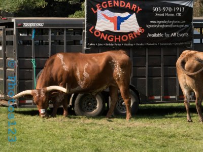 pendleton_round_up__parade