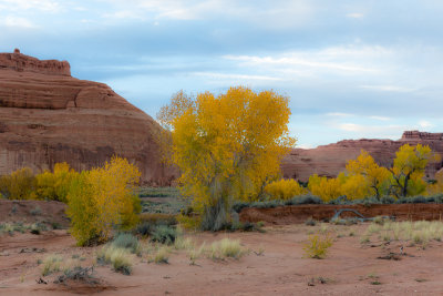 Moab fall colors