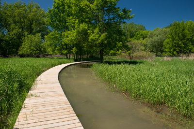 RM_170607-01-Parc-Ile St Bernard.jpg