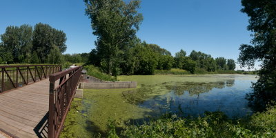 RM_170626-08-Boucherville-Parc de la Frayere.jpg