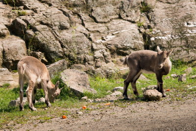 170820-08-Parc Omega.jpg