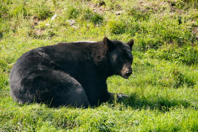 170820-09-Parc Omega.jpg