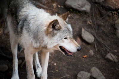 170820-24-Parc Omega.jpg