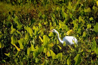 RM_171202-36-Brazeau Bend State Park.jpg