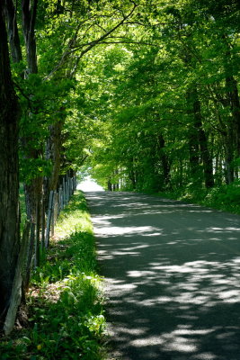 Beaupré & Ile d'Orléans