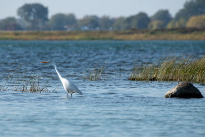 18100906Parc_de_la_Frayere_Boucherville.jpg