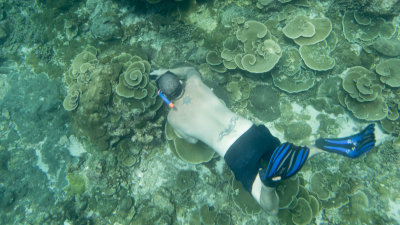 Snorkel_Similans_Mar2018-1.jpg
