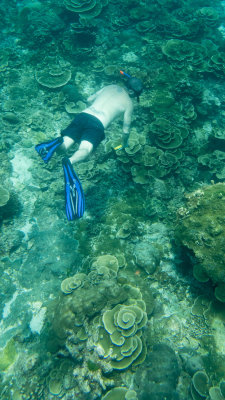 Snorkel_Similans_Mar2018-2.jpg