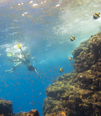Snorkel_Similans_Mar2018-3.jpg