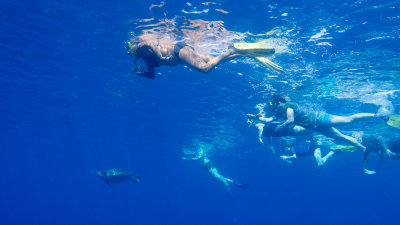 Snorkel_Similans_Mar2018-56.jpg