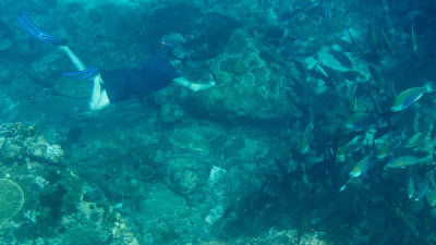 Snorkel_Similans_Mar2018-59.jpg