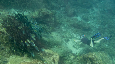Snorkel_Similans_Mar2018-61.jpg